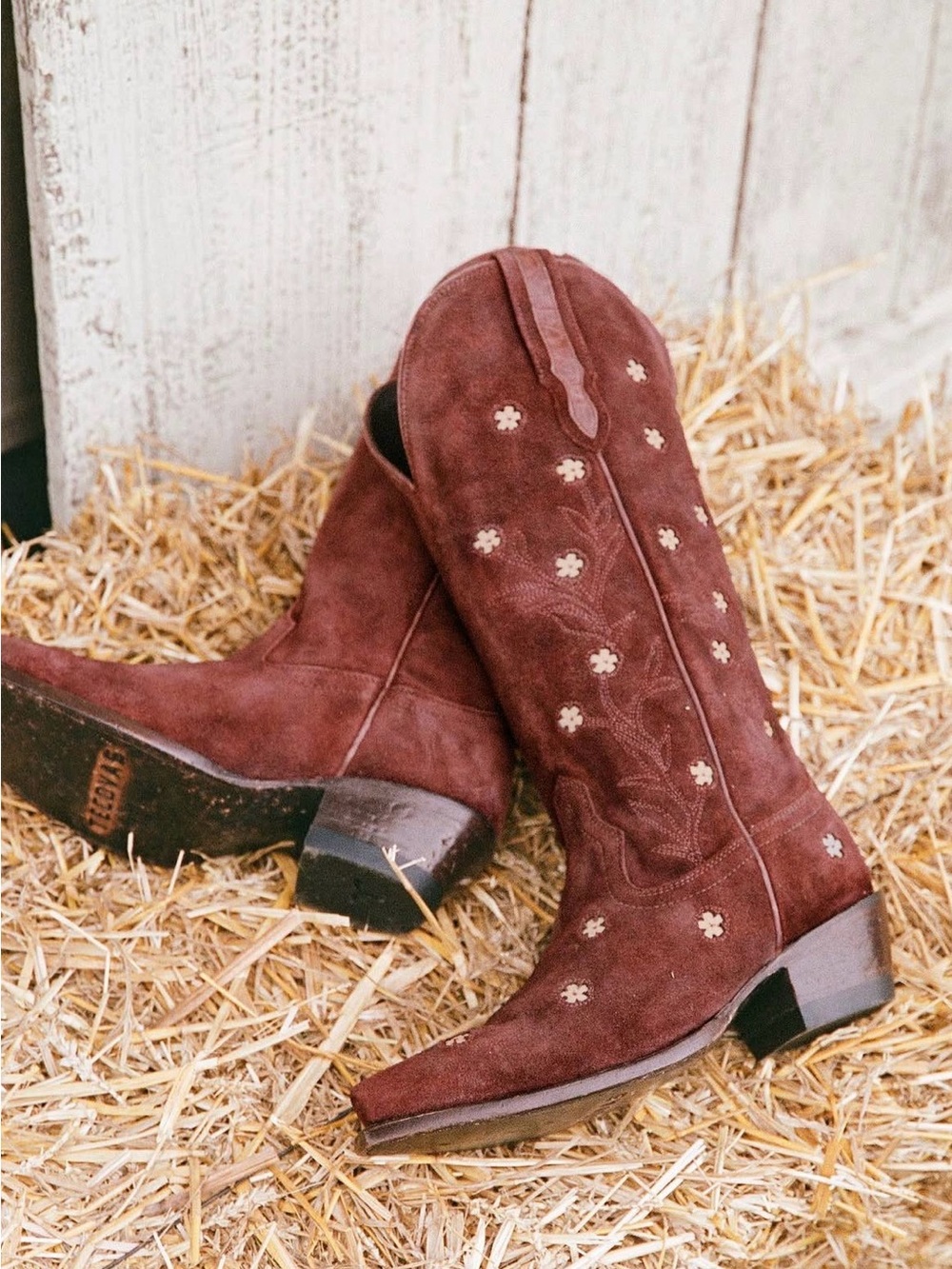 Tecovas Kristopher Brock Annie